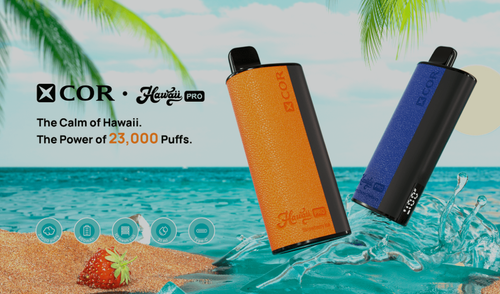 خرید پاد یکبارمصرف 23000 پاف برند ایکس کور هاوایی نعناع یخ